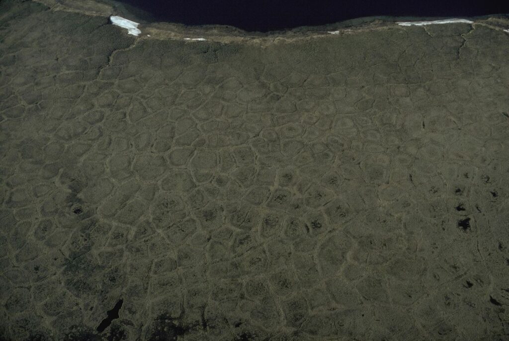 Permafrost Thaw Monitoring Stations Expand Across Northern Towns open tundra landscape over permafrost terrain